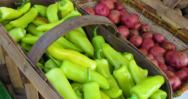 Farmers Market