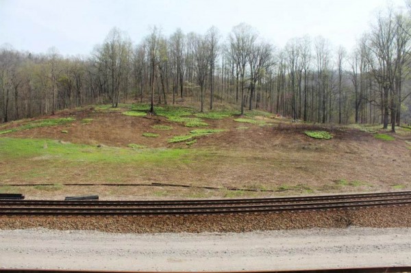 Rob Bolson Train Excursion Photo