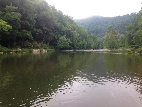 Russell Fork Fishing