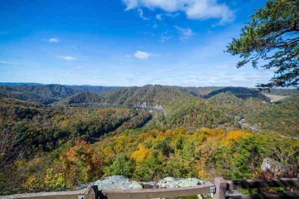 Larry Epling Fall Collection