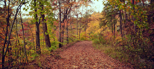 Fall in Pike County, KY