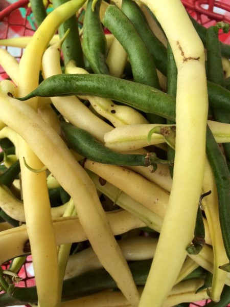 Pike County Farmers Market