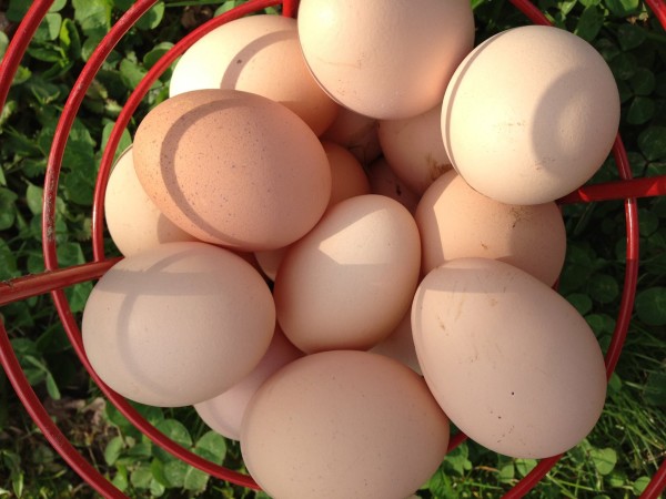 Pike County Farmers Market