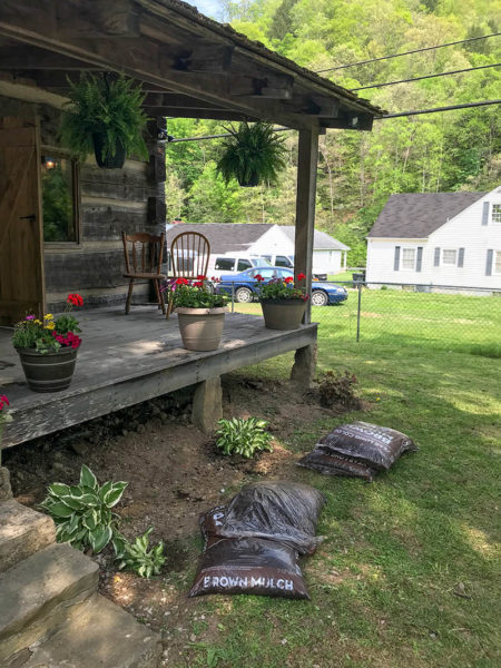 Hog Trial Cabin Cleanup